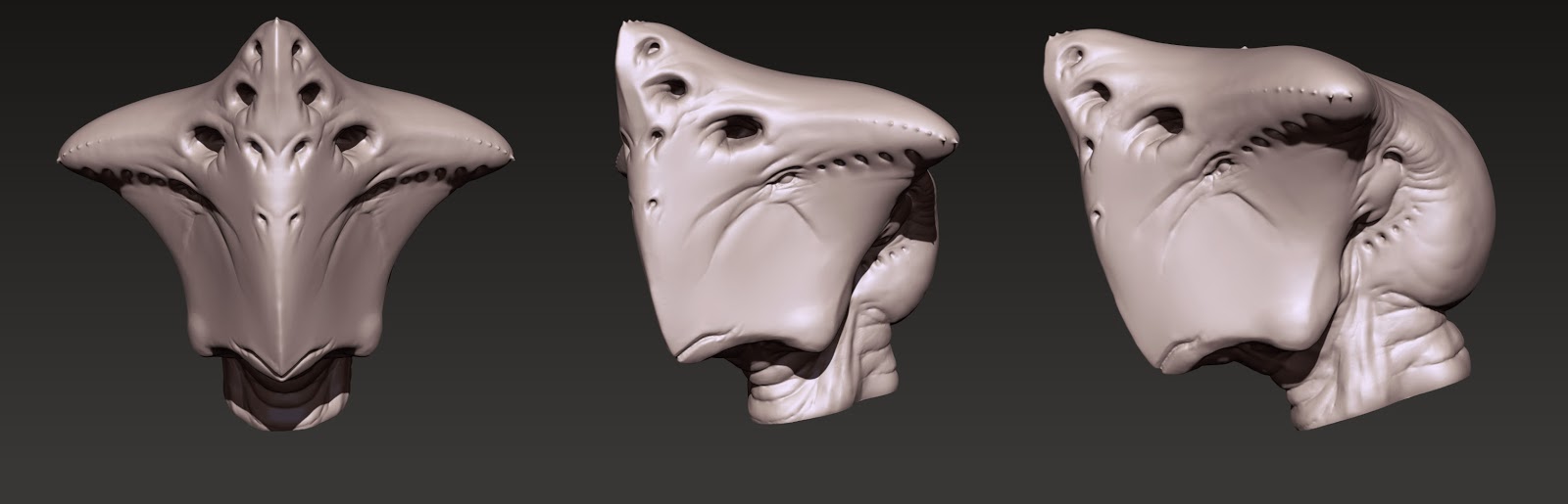 conk_02.jpg