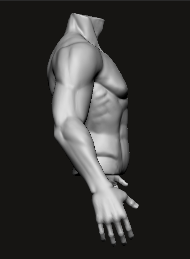 Torso_Study_Profile5.jpg