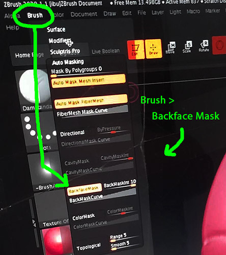 zbrush backface auto mask