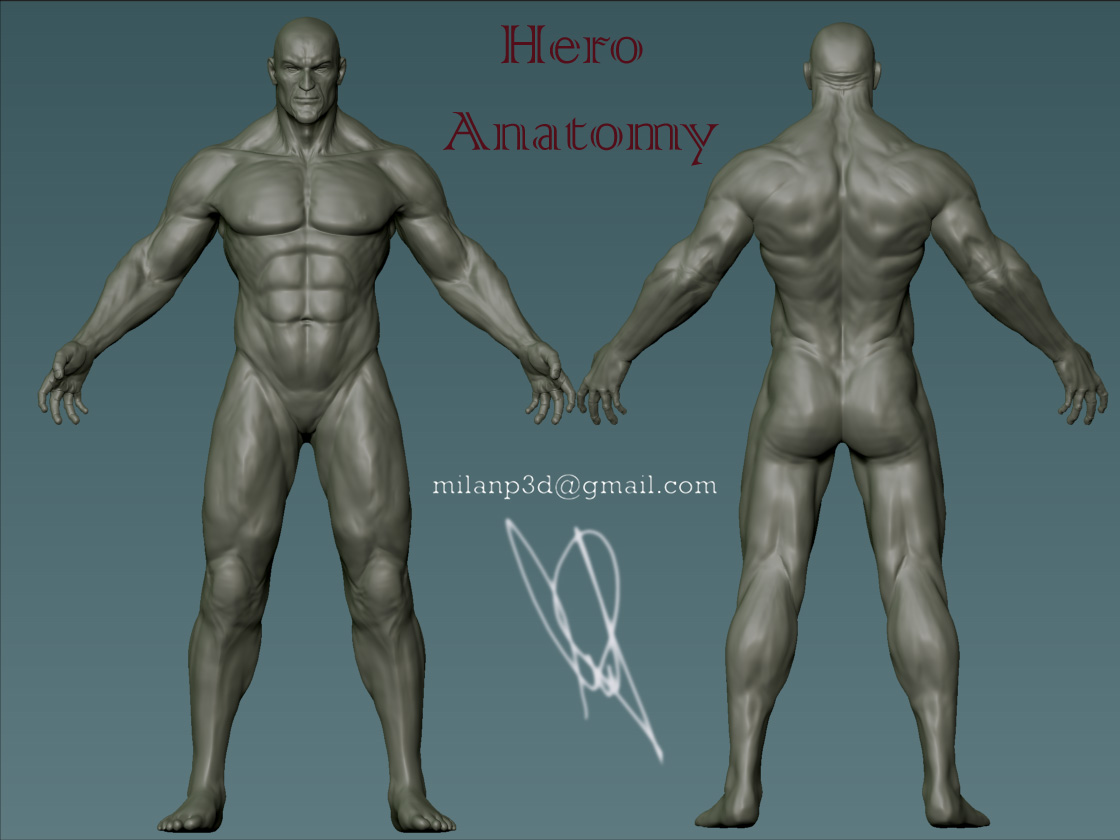 Hero Anatomy.jpg