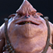 zbcThumb.jpg