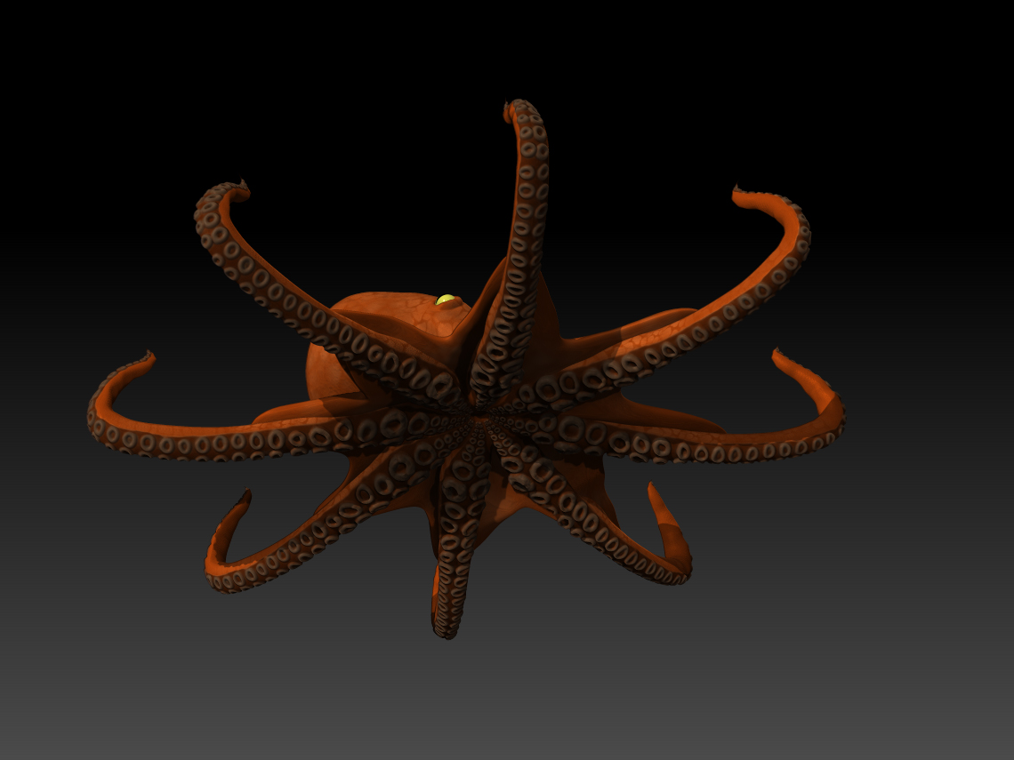 Octopus Under Color.jpg