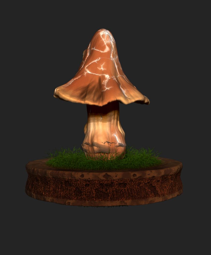 MushroomHinten.jpg