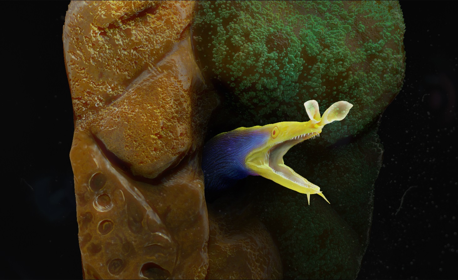 eel_final.jpg