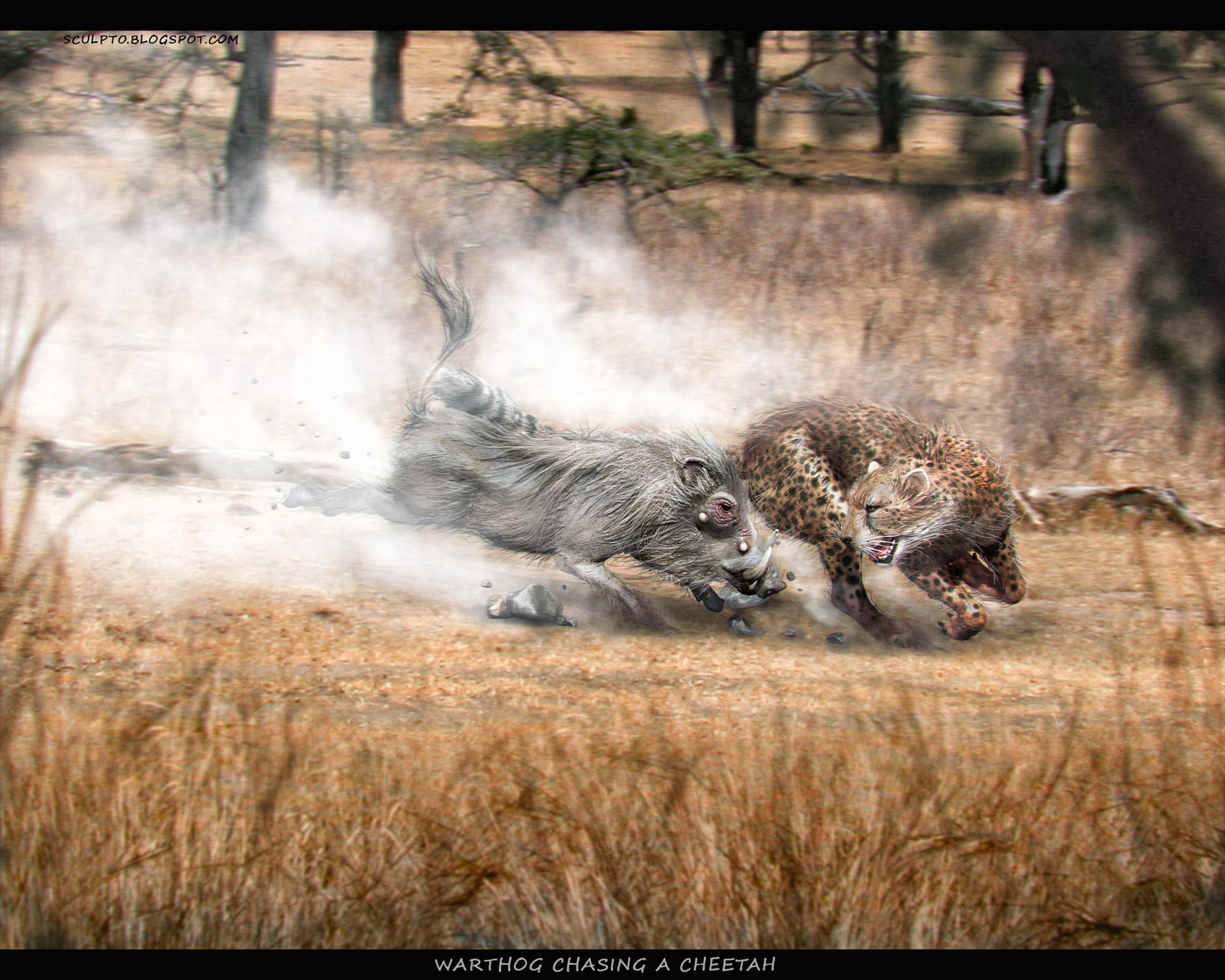 warthog chasing a cheetah 1700x_9.jpg