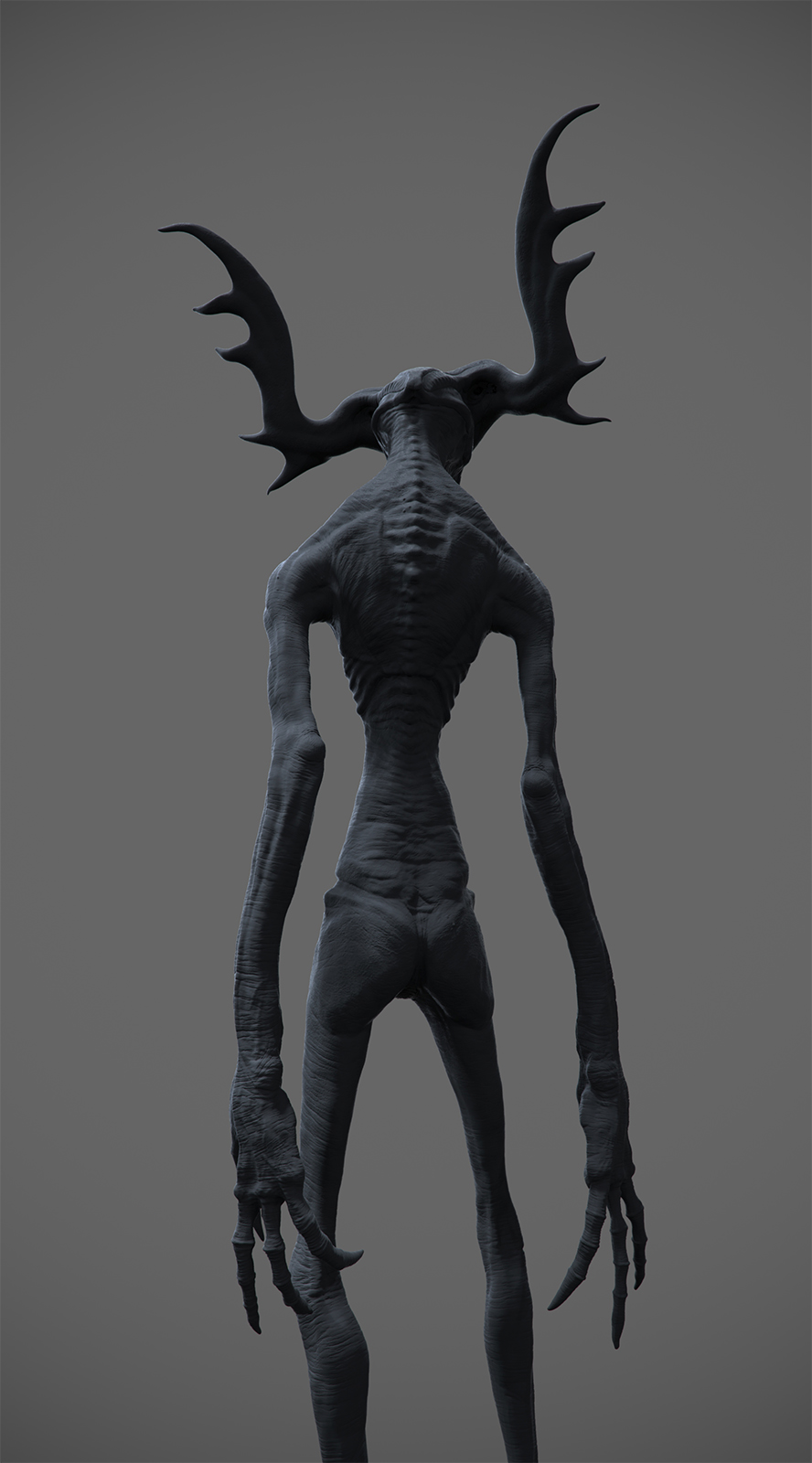 shepherdBack.jpg