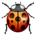 :beetle: