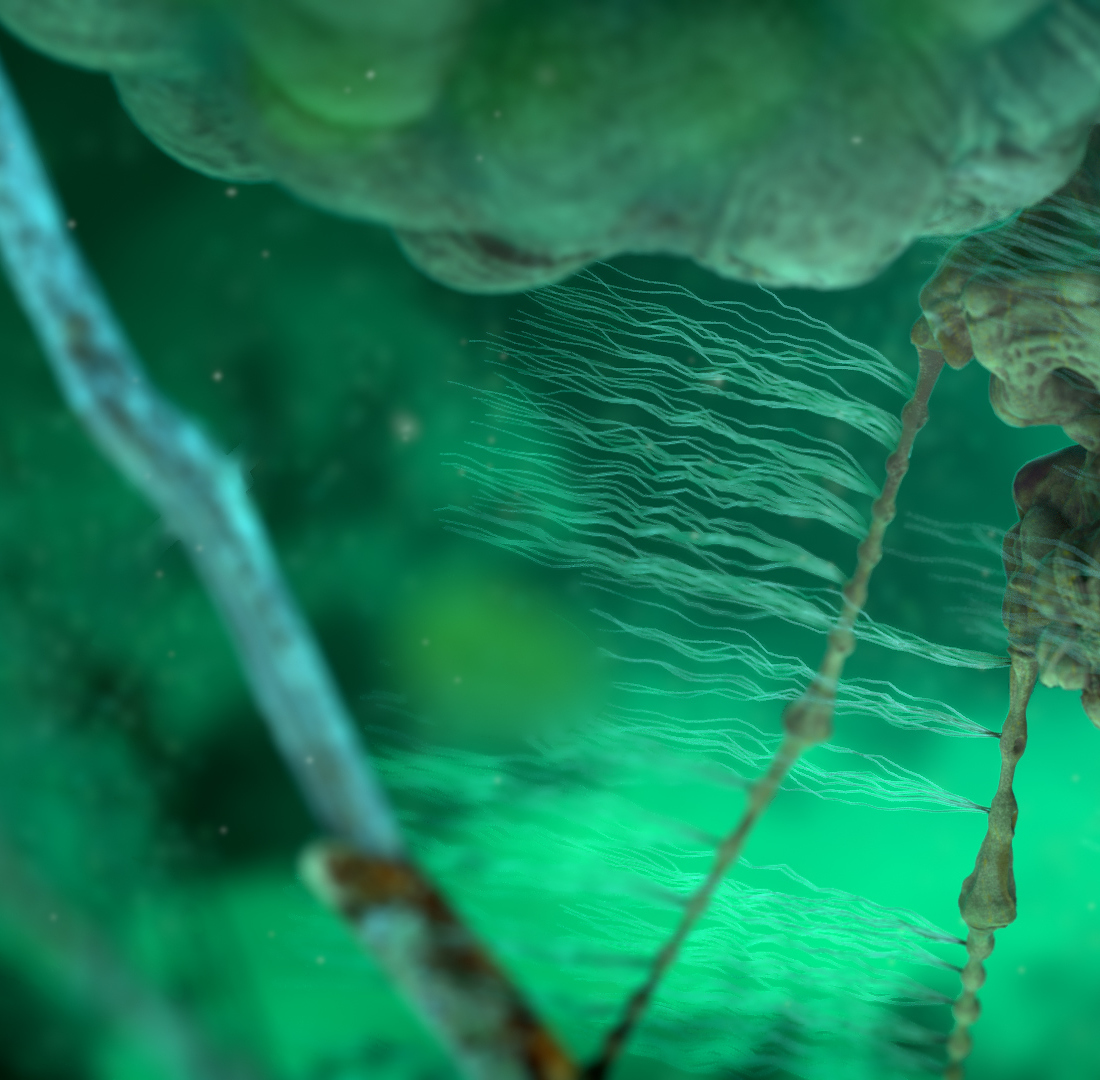 streamCreature_View04.jpg