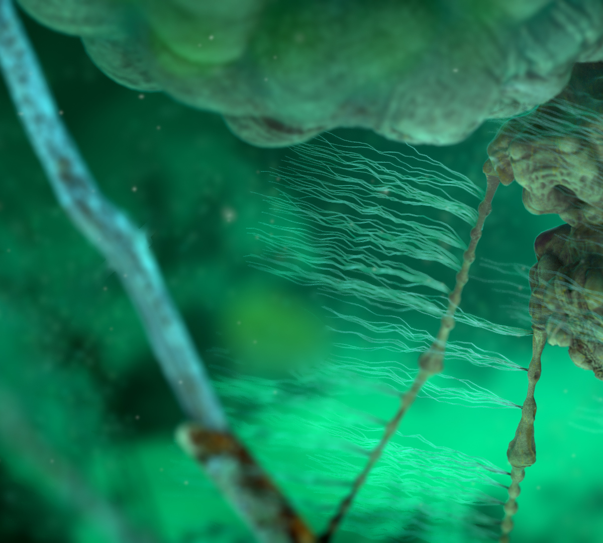 streamCreature_View04.jpg