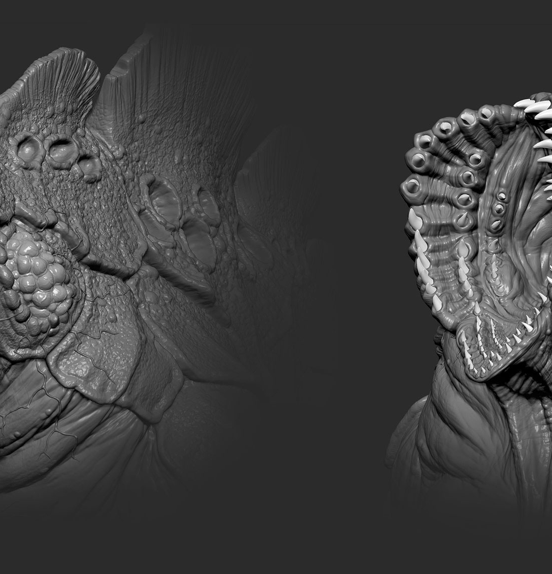 Slagworm_Headdetail_web.jpg