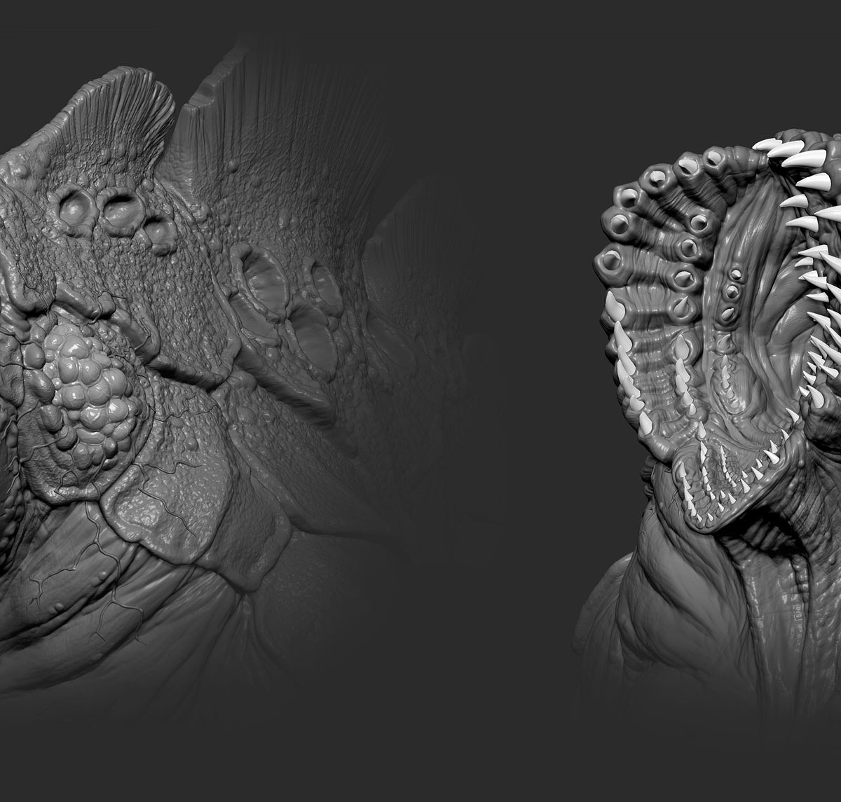 Slagworm_Headdetail_web.jpg