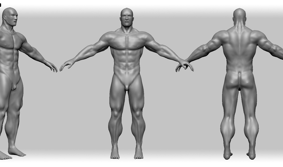 Male_anatomy_wip_Current_stage_subdiv_4.jpg