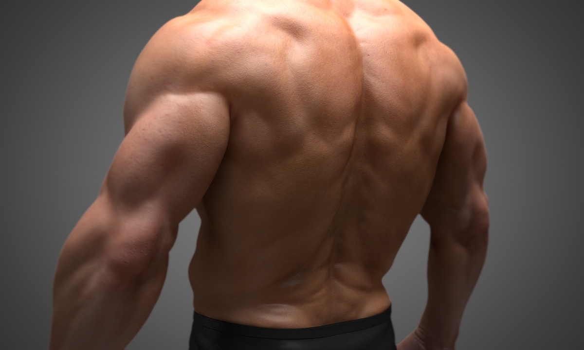 Back.jpg