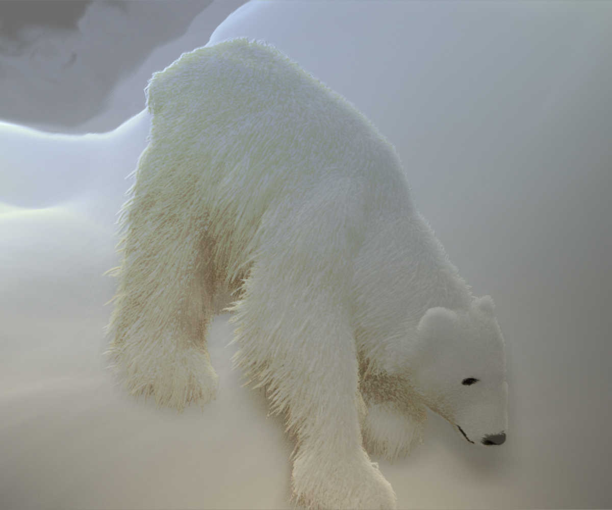 POLAR-BEAR-EXPERIMENT-35.jpg