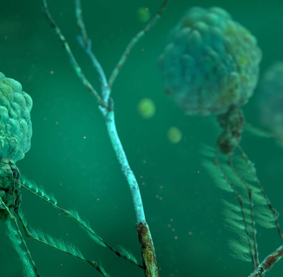 streamCreature_View03.jpg
