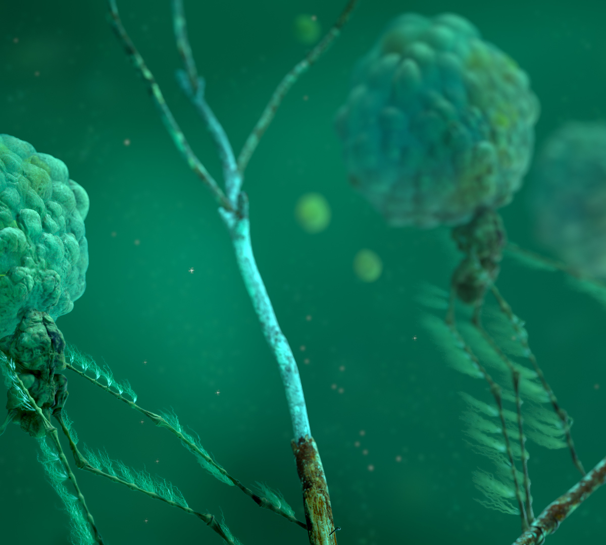streamCreature_View03.jpg