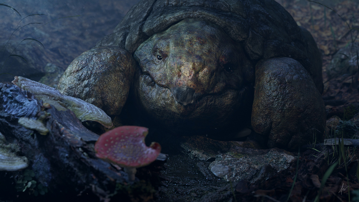 turtle002