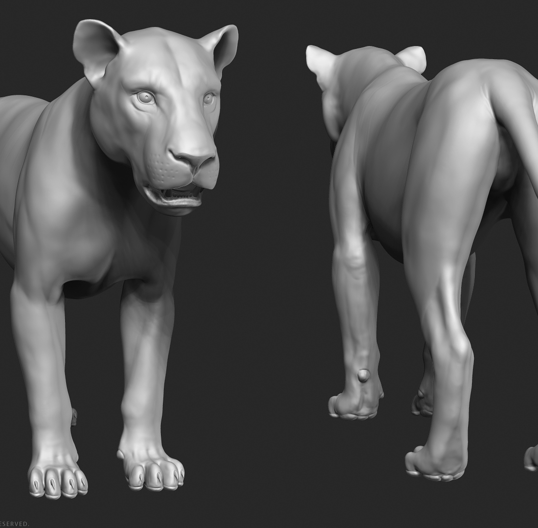 manuelf-Lion_HighPoly_6.jpg