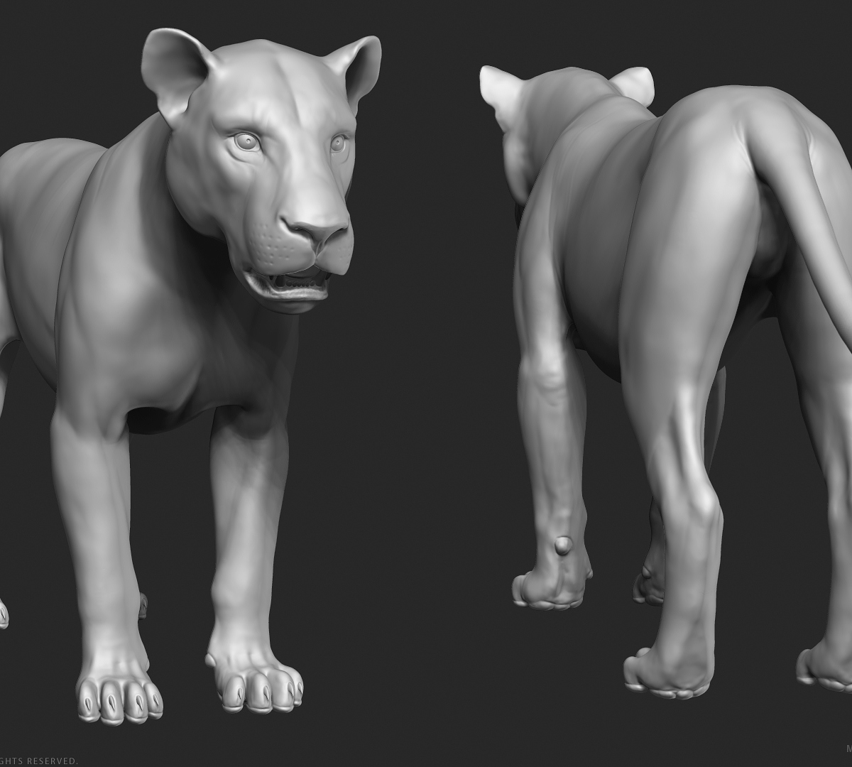 manuelf-Lion_HighPoly_6.jpg