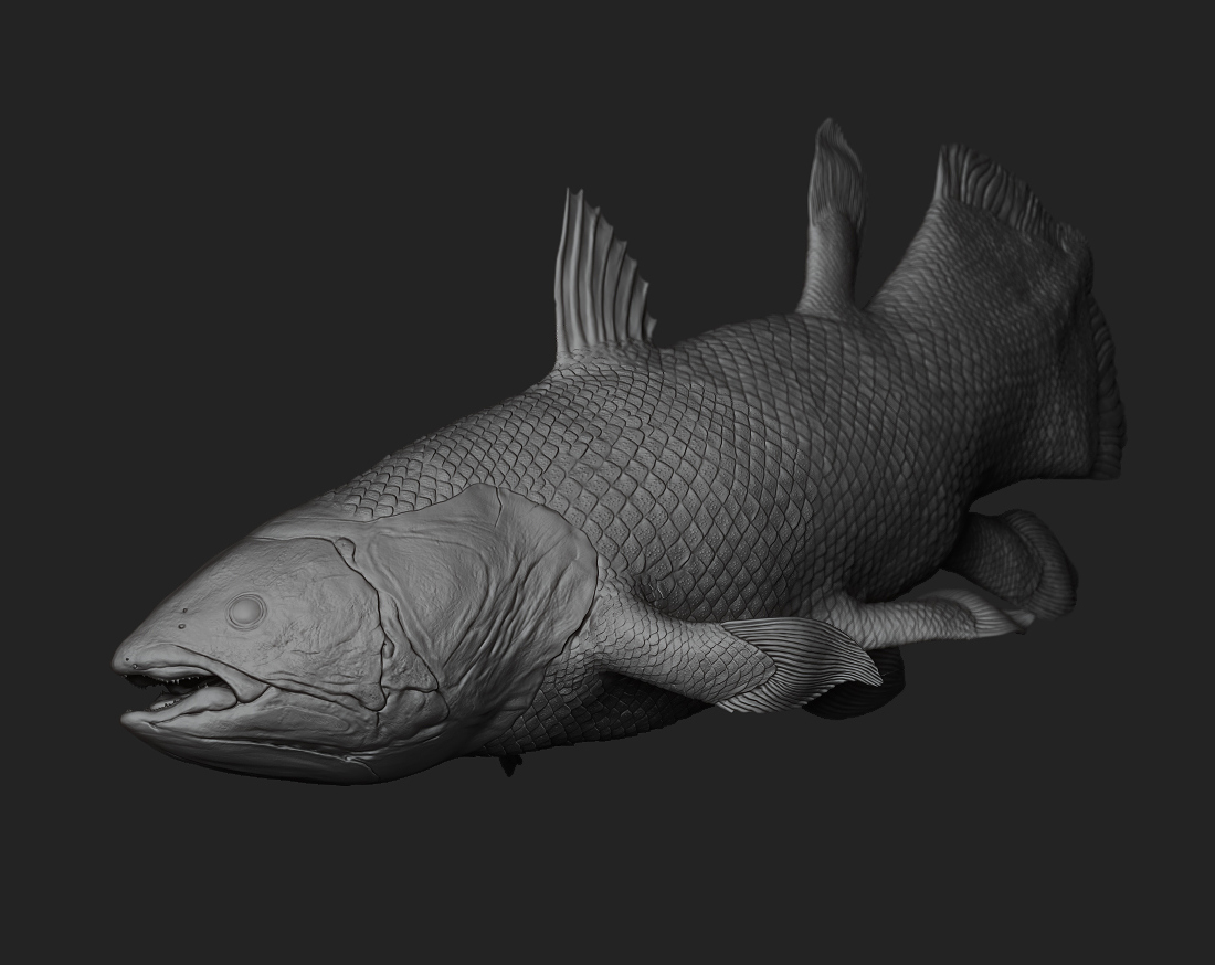 ceolacanthZB_01.jpg