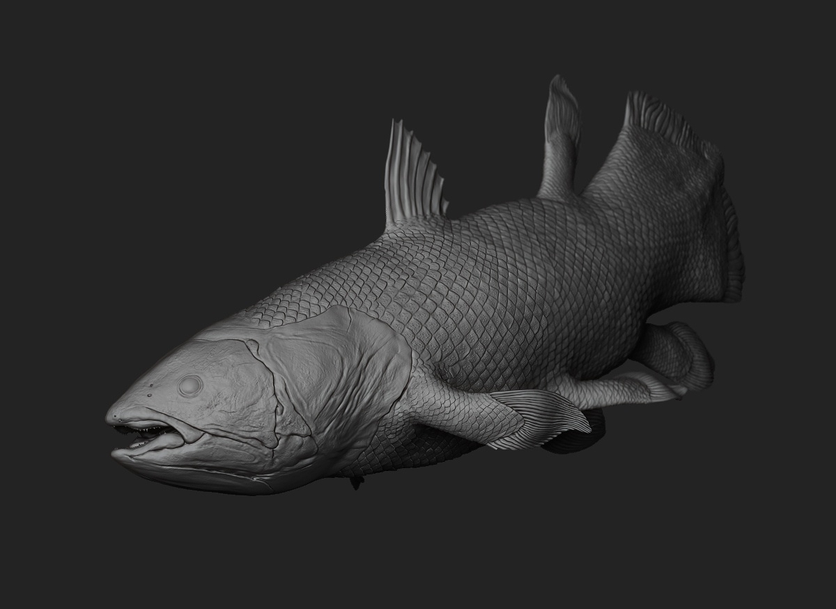 ceolacanthZB_01.jpg