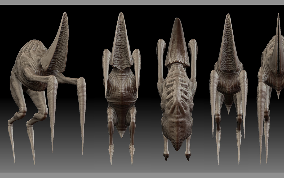 NewSpecies01.jpg
