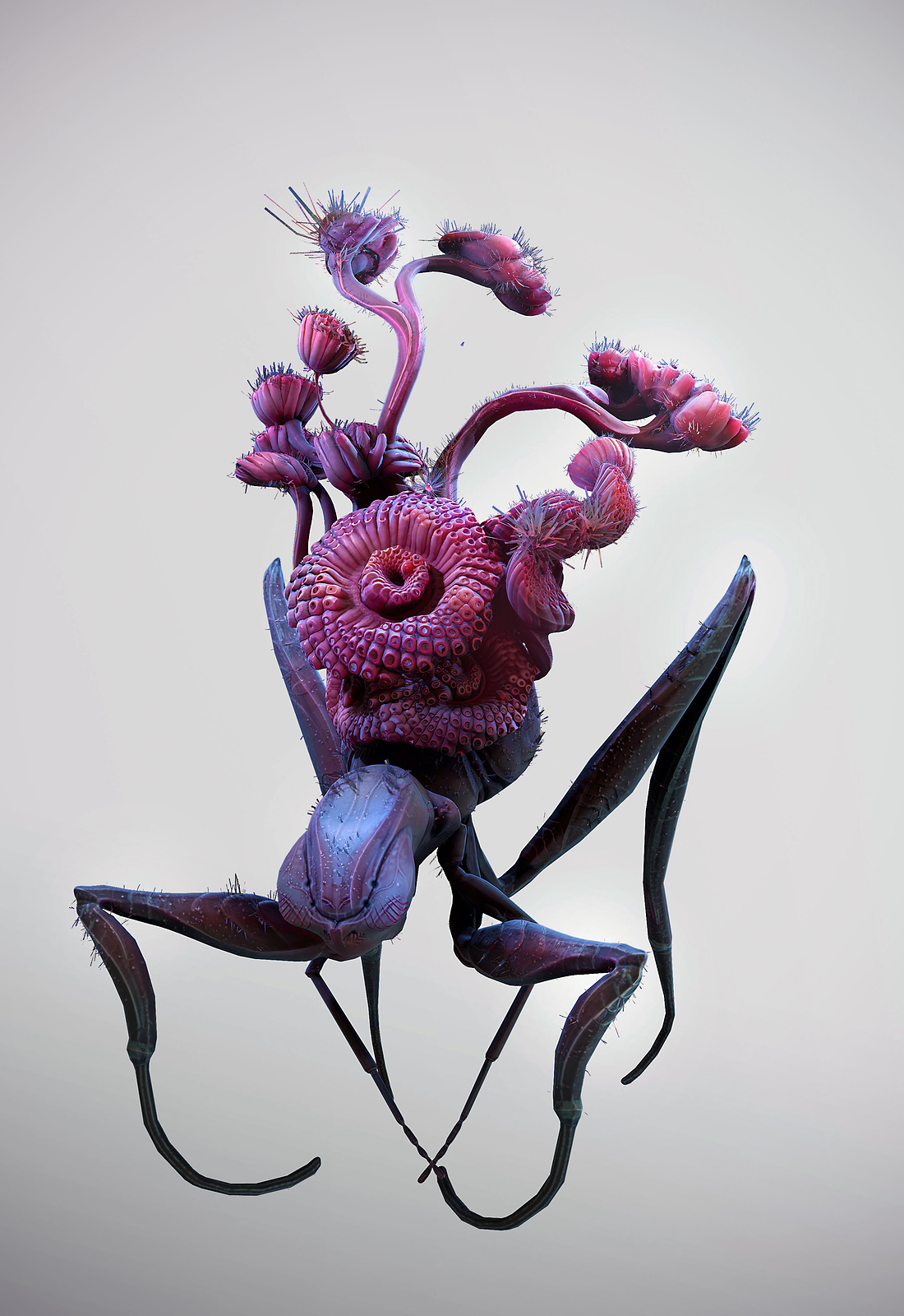 fruitSpider05.jpg