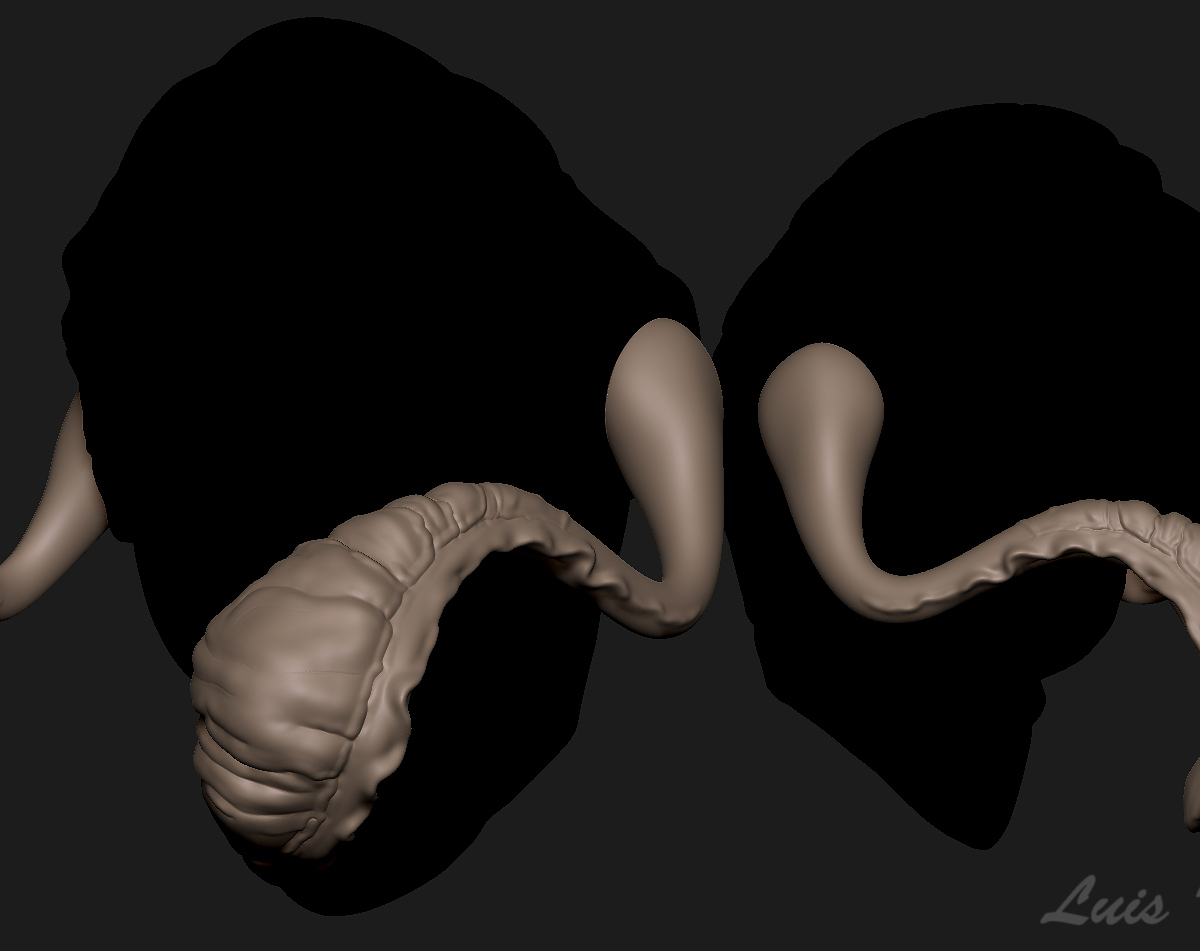 Tentacles_Sketch_LF.jpg
