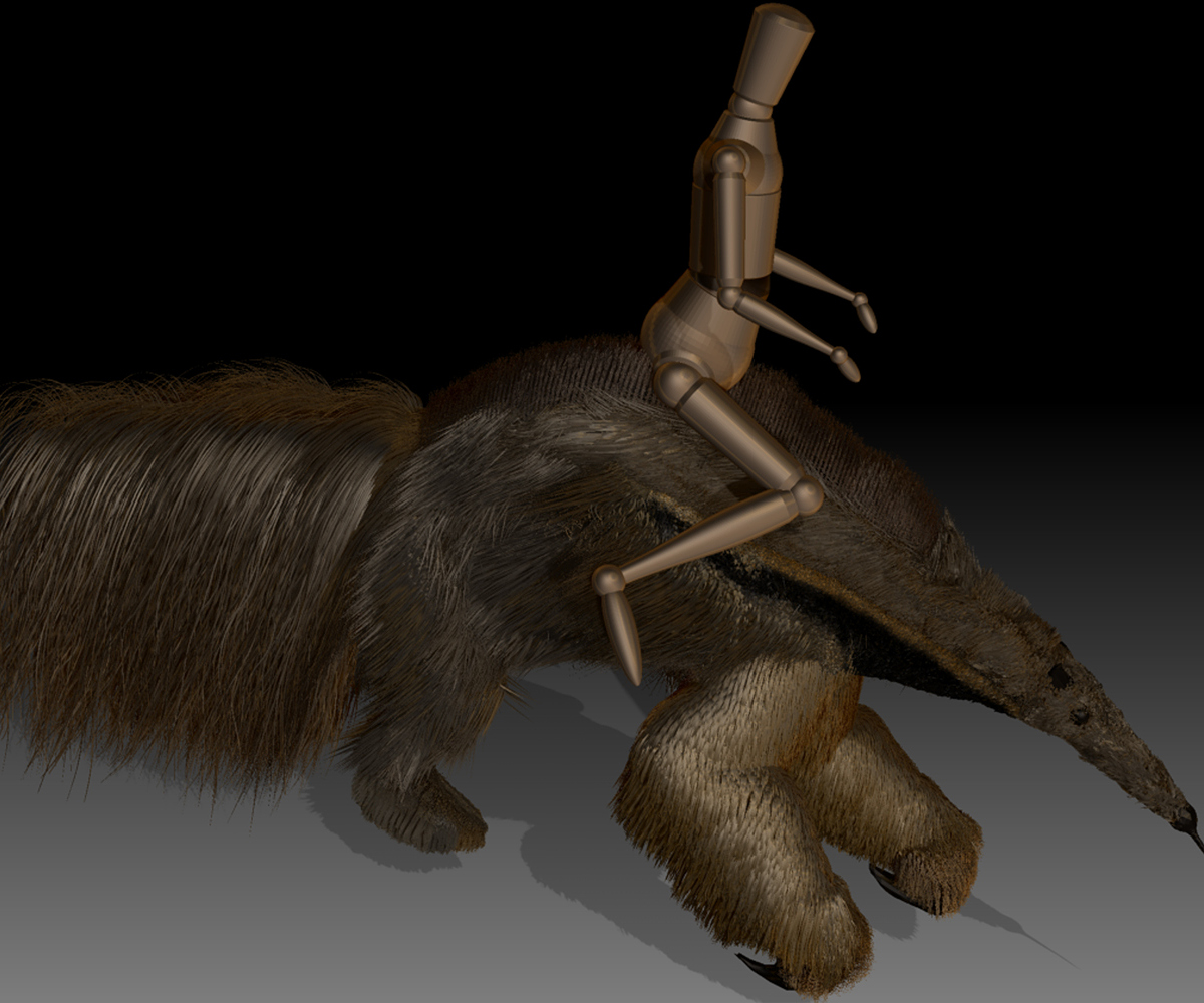 GIANT-ANTEATER-3.jpg