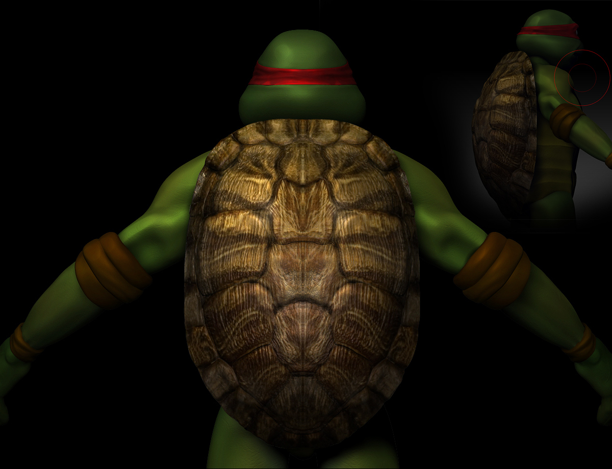 shell.jpg