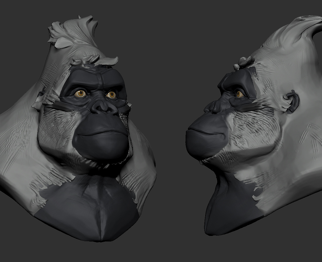 gorillaTurnaround01_230617.jpg