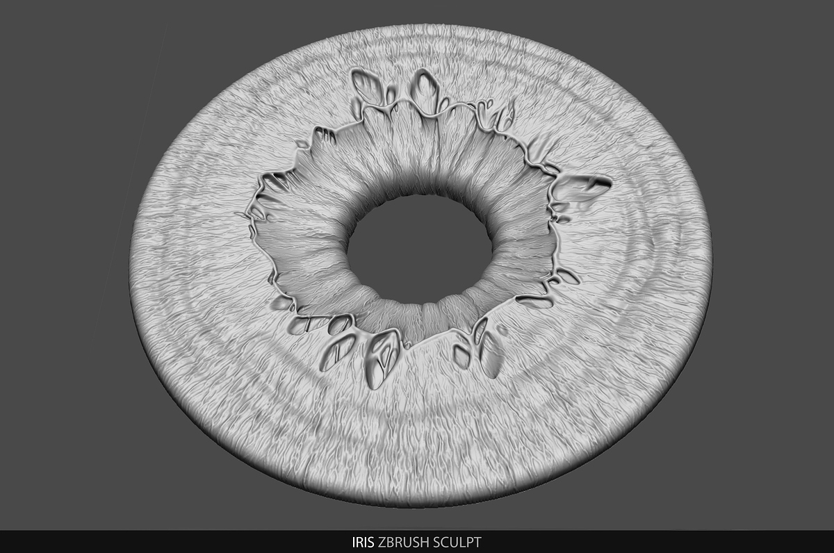 Iris_Sculpt