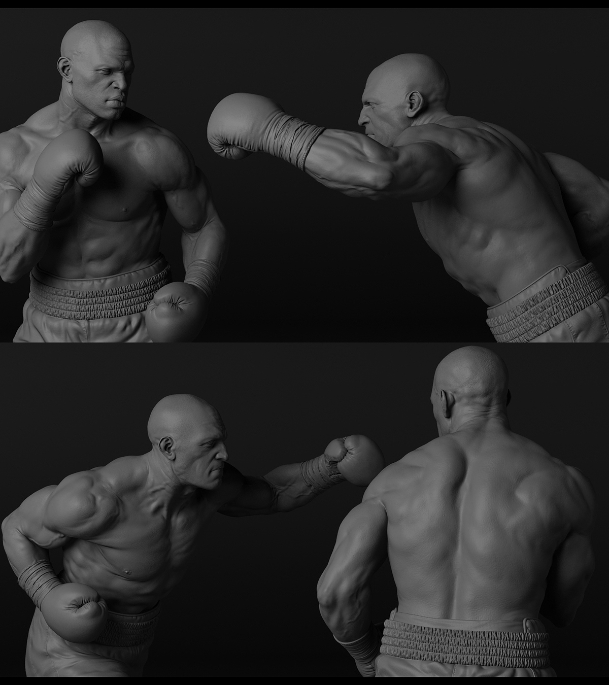 BOXER4_oranc.jpg