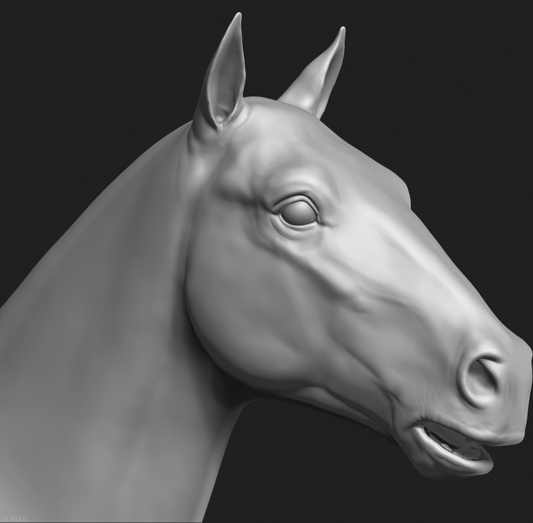 manuelf-3d-Horse-HighPoly_7.jpg