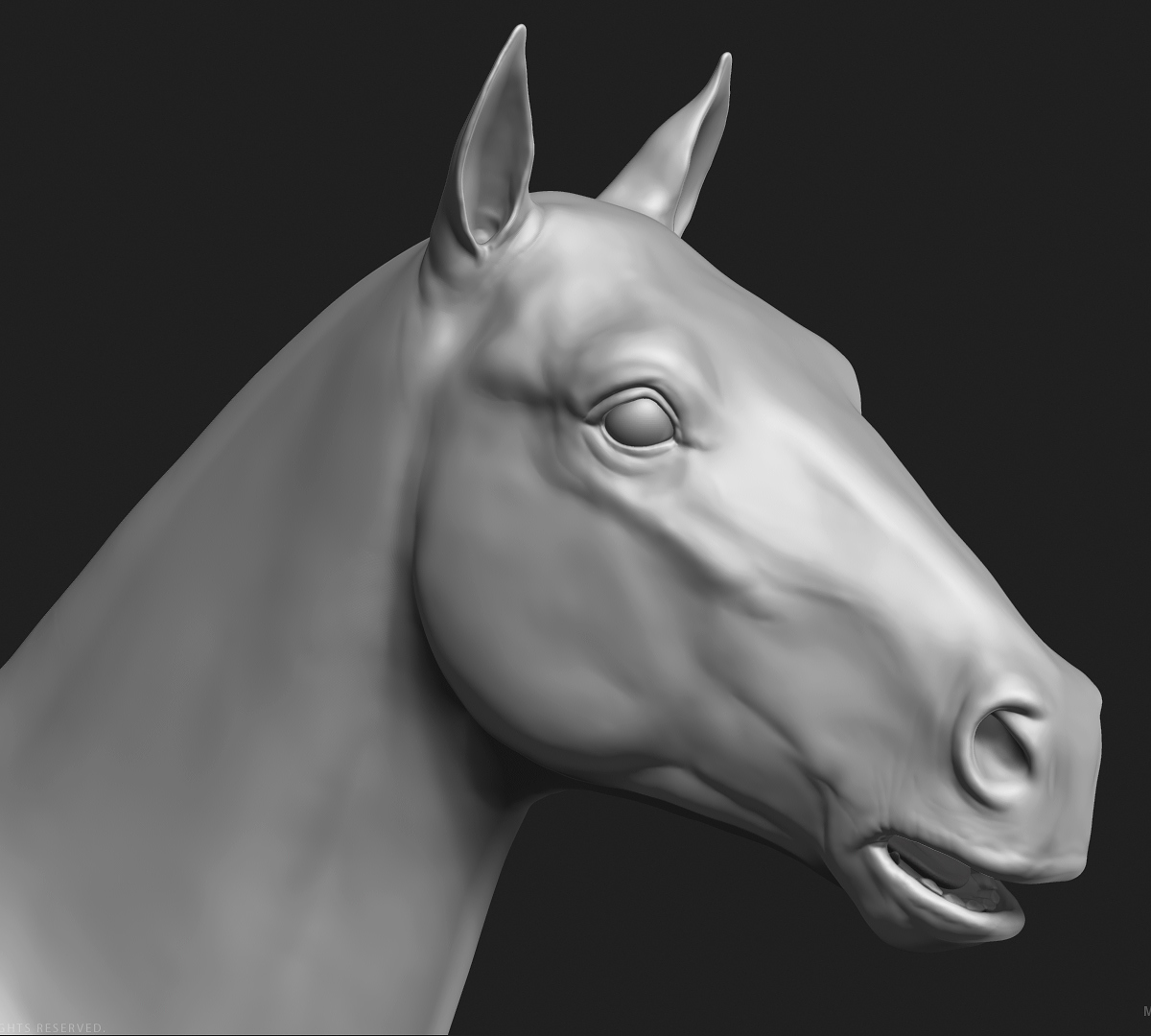 manuelf-3d-Horse-HighPoly_7.jpg