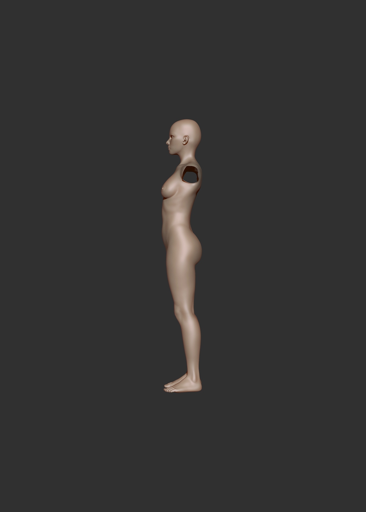 female study no arms.jpg