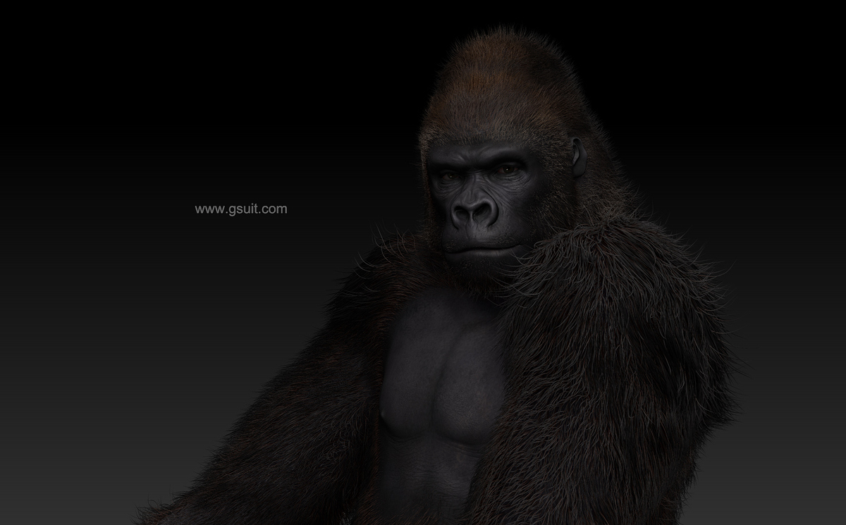 gorilla_com_big