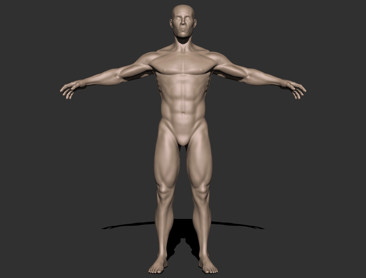 bodybuilderupdate_front.jpg