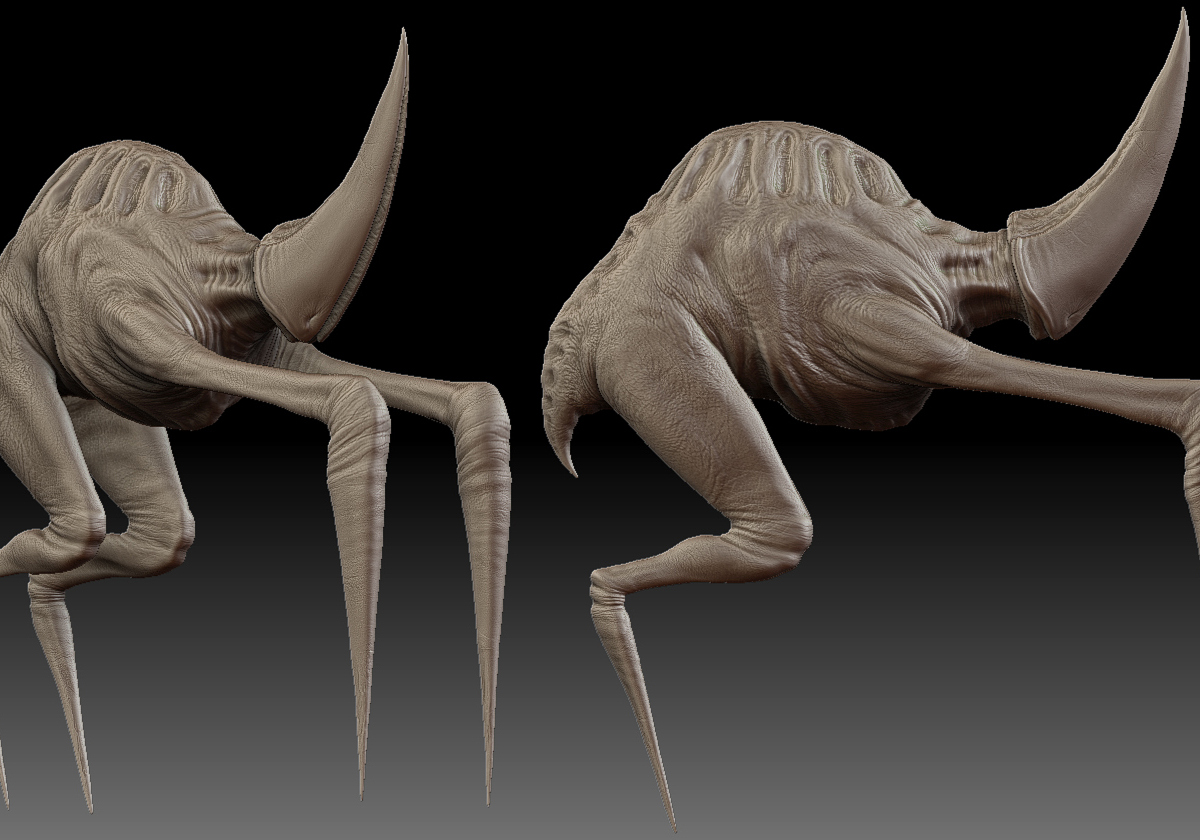 NewSpecies02.jpg
