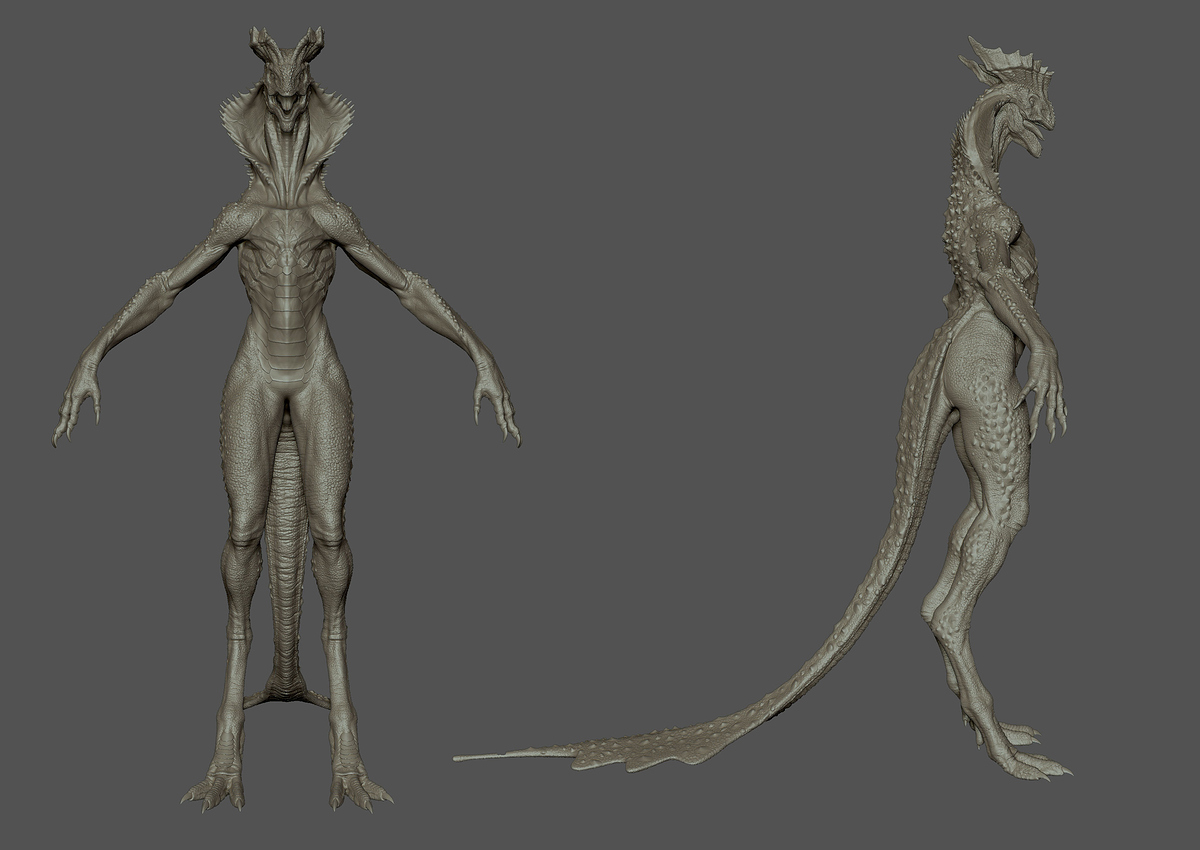 canizares_lizard_05