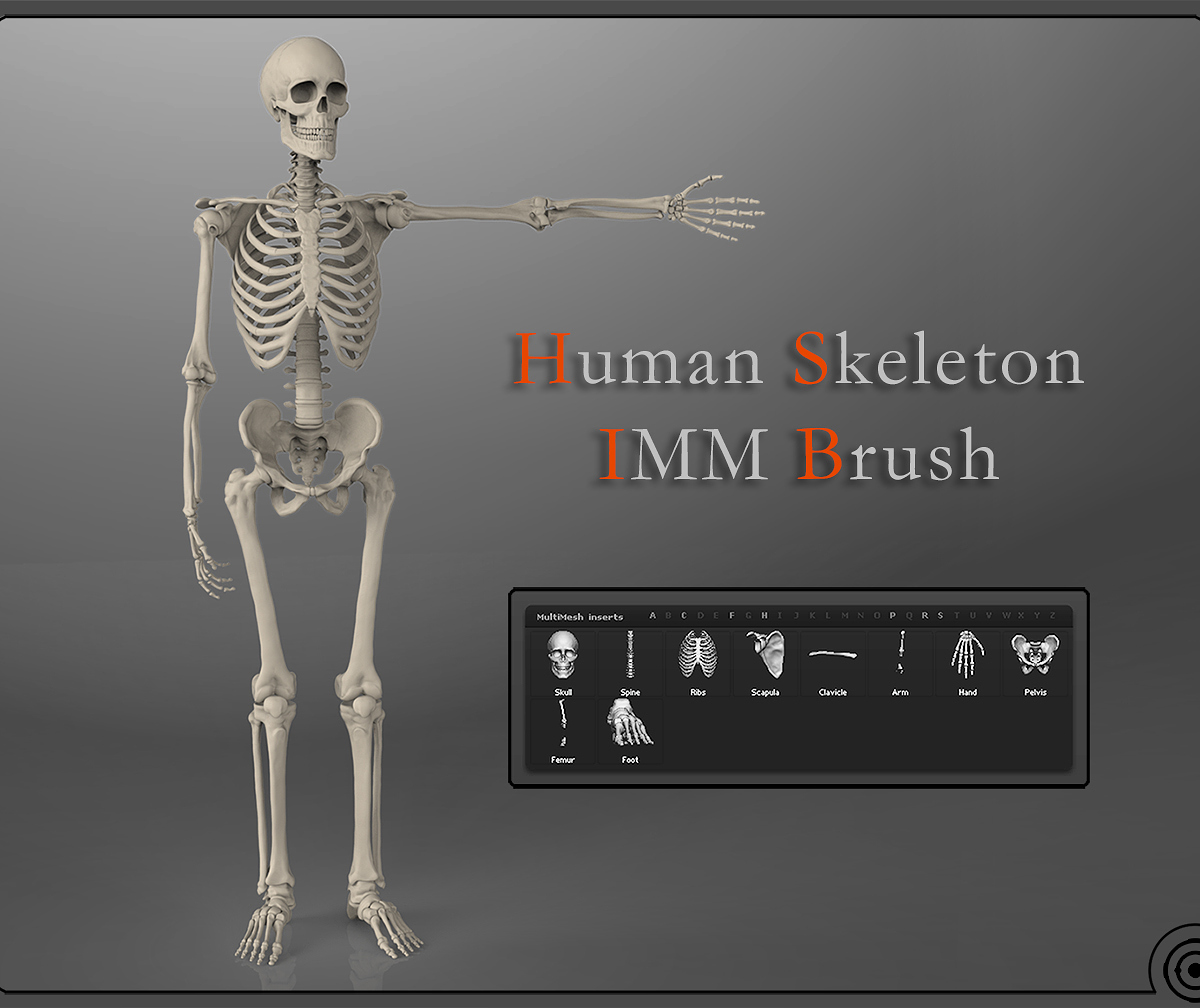 Skeleton_HalfPose3.jpg