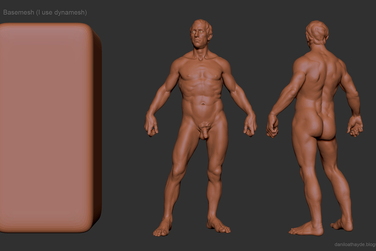 modeling_low.jpg