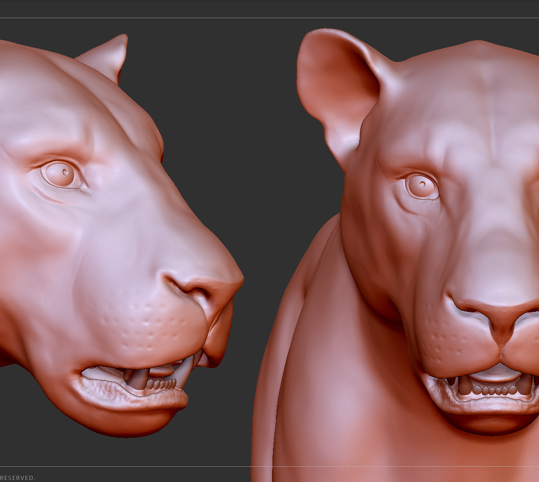 manuelf-Lion_HighPoly_22.jpg