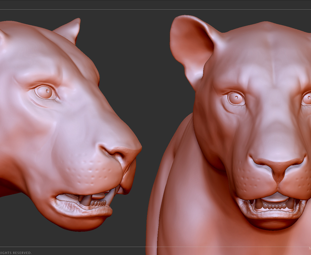 manuelf-Lion_HighPoly_22.jpg