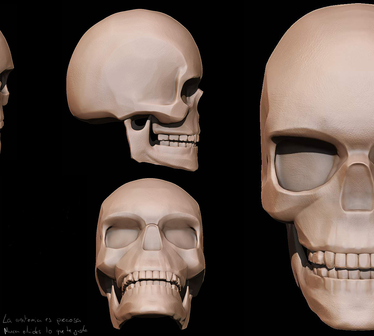 calavera.jpg