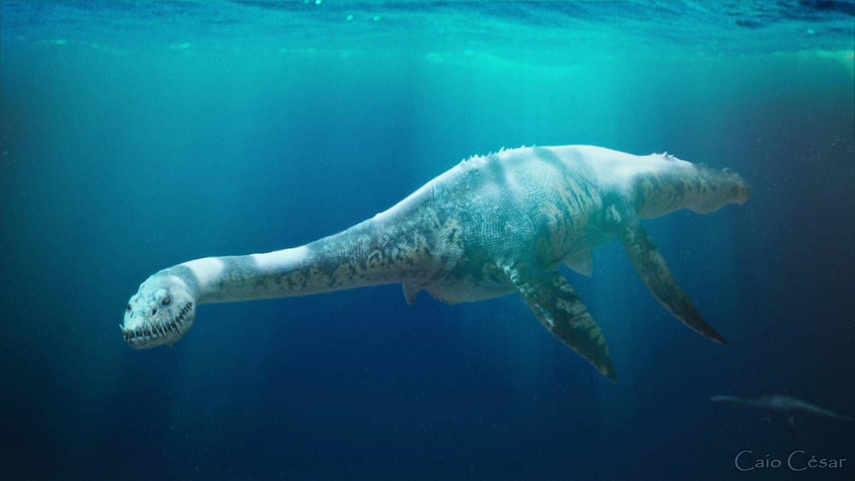 plesiosaurus-teste1
