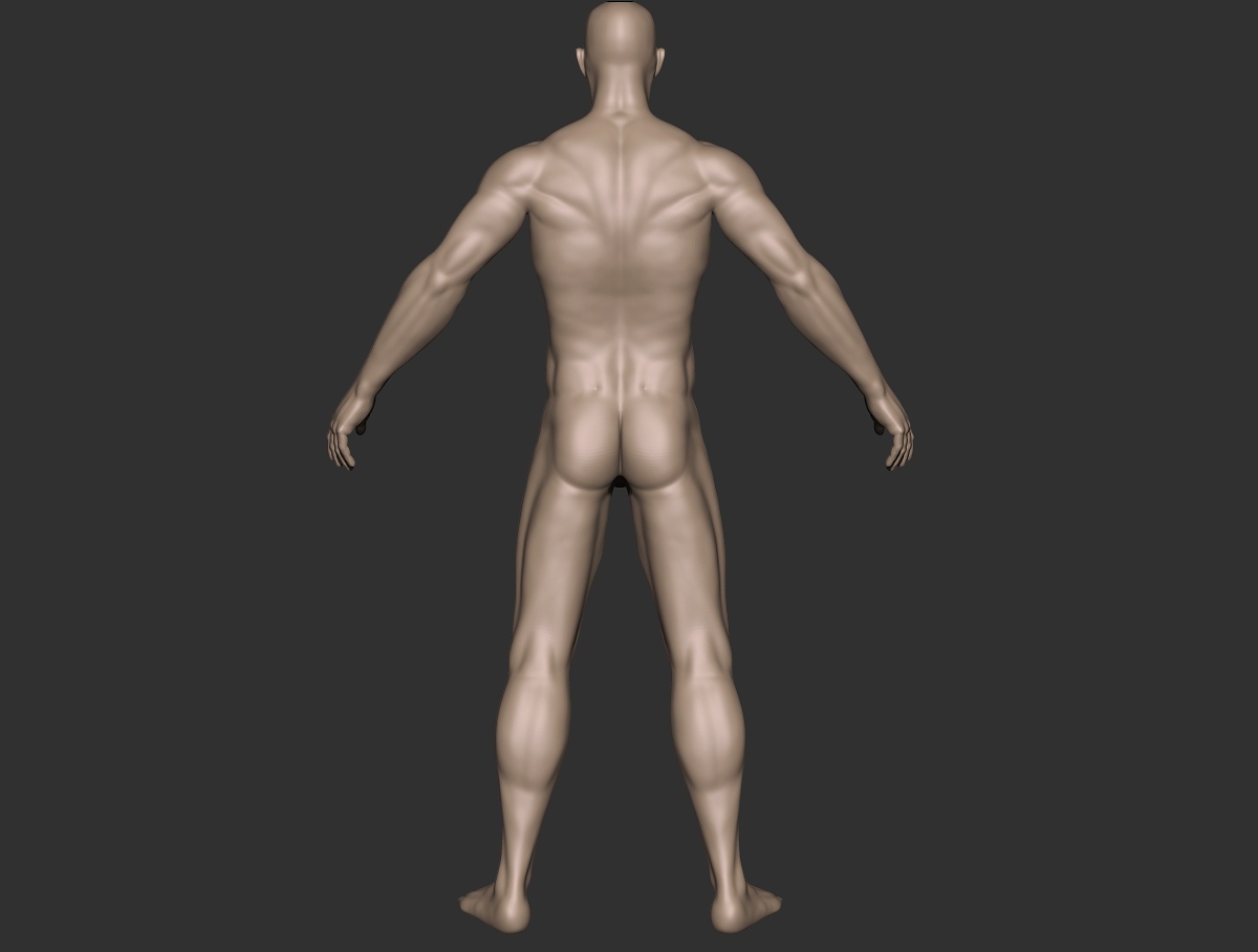 male hero_back.jpg