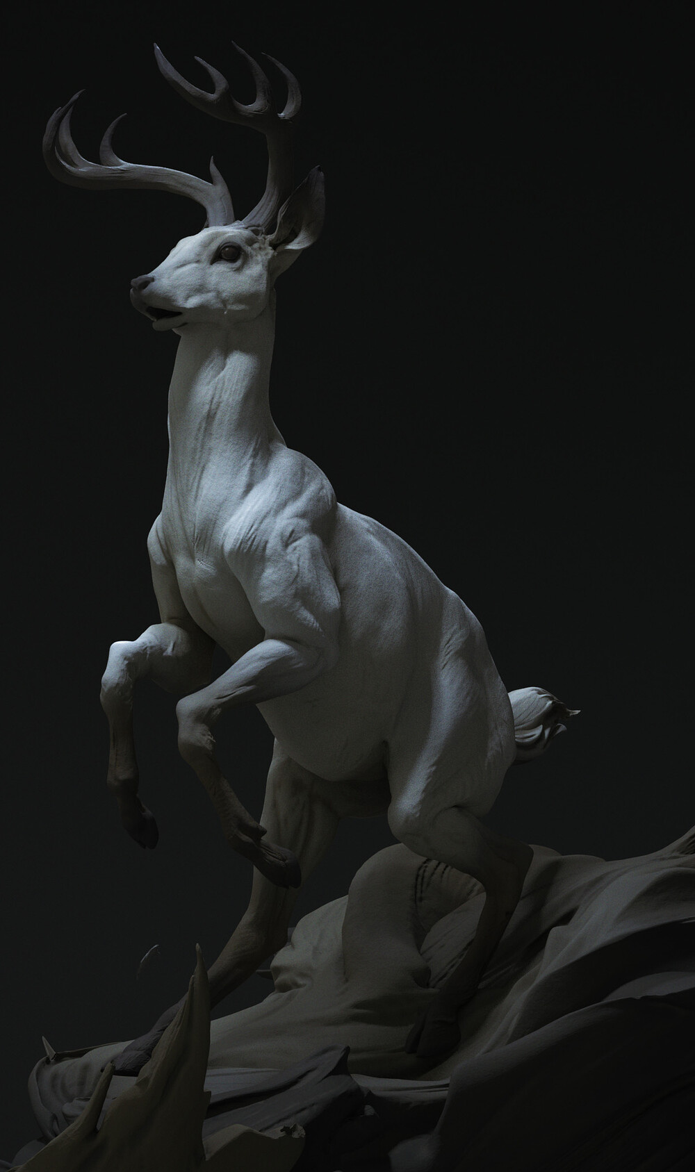 render_02.jpg