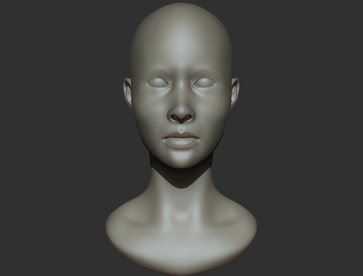 headstudy_front.jpg