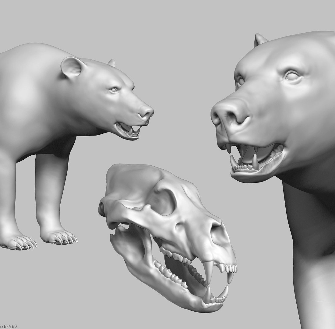 manuelf3d-Brown-Bear-Highpoly-sculpt-9.jpg